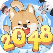 报告老板2048