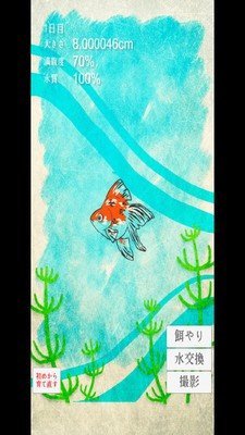 金魚育成