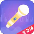 语聊音频变声器破解版