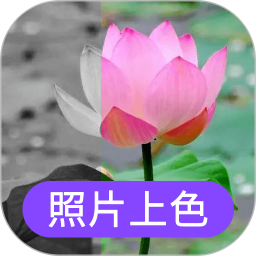 照片上色app