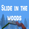 slideinthewoods