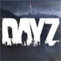 dayz