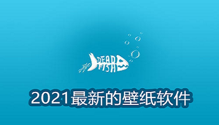 ​2021最新的壁纸软件