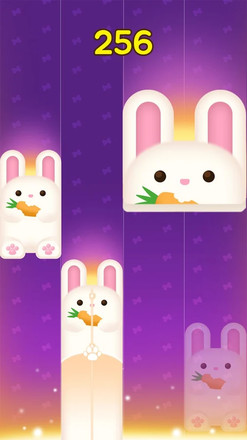 动物钢琴乐园 动物钢琴乐园