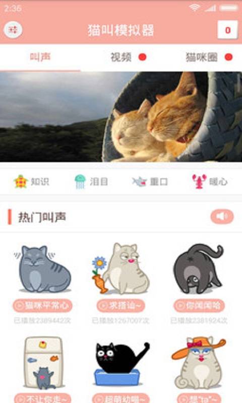 猫叫仿生器