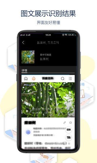 全能拍拍app