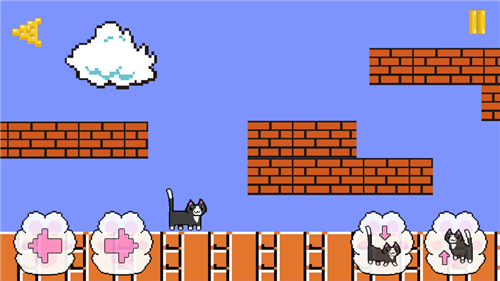 我家有只残疾猫游戏