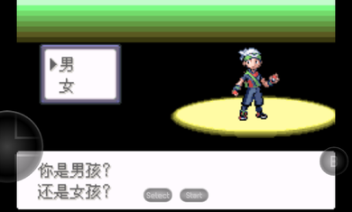 口袋妖怪迷失夜6