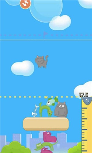 猫咪大厦 猫咪大厦