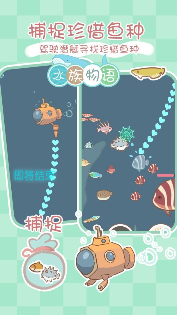 水族物语