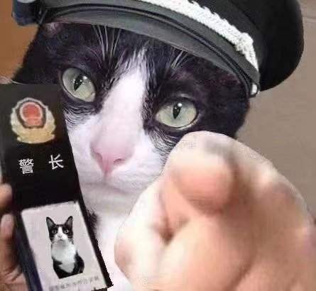 抖音猫咪警察指人表情包