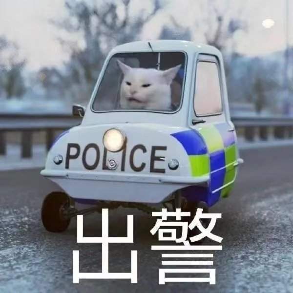 抖音猫咪警察指人表情包