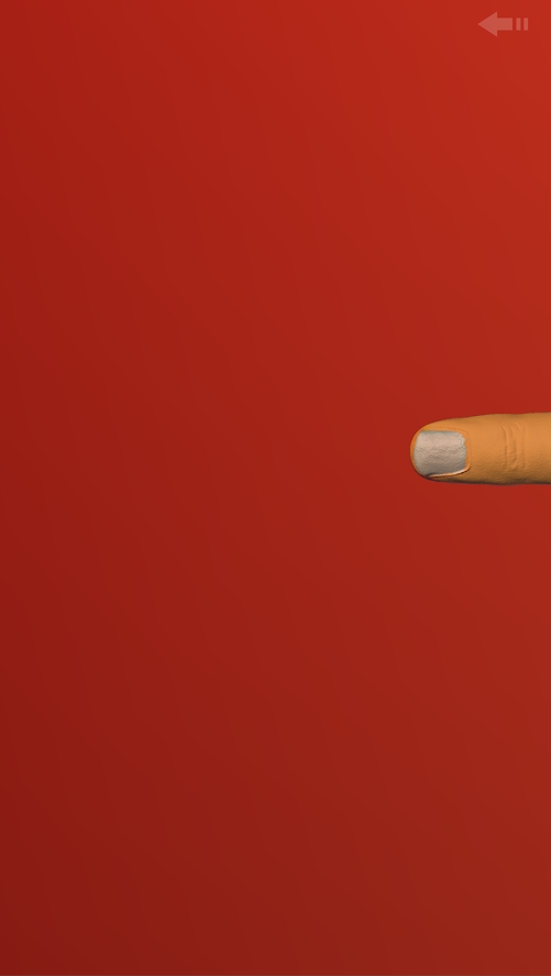 给猫玩的ipad游戏