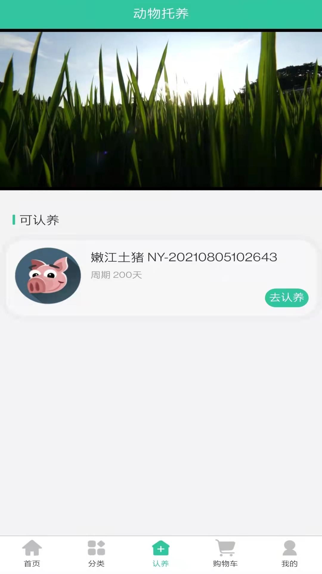 禾元农场 禾元农场