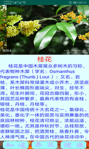 绿植花卉.png