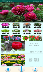 绿植花卉.png