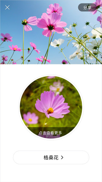 识花app.jpg