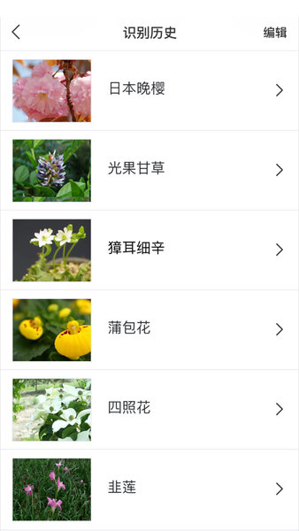 识花app.jpg