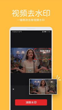视频去水印