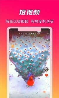 火晶星球app.jpg