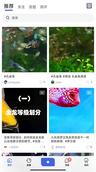 鲲天下app