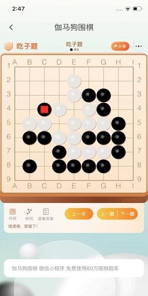 伽马狗围棋.jpg